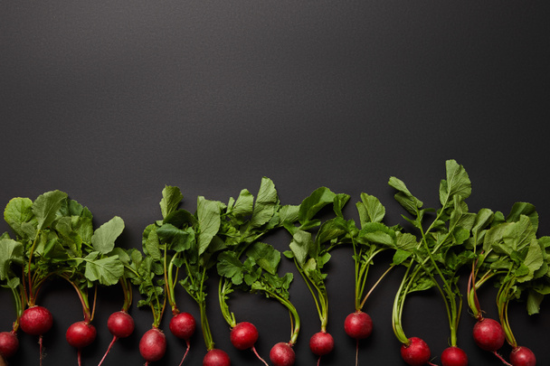 top view of fresh radish on black background with copy space - 写真・画像