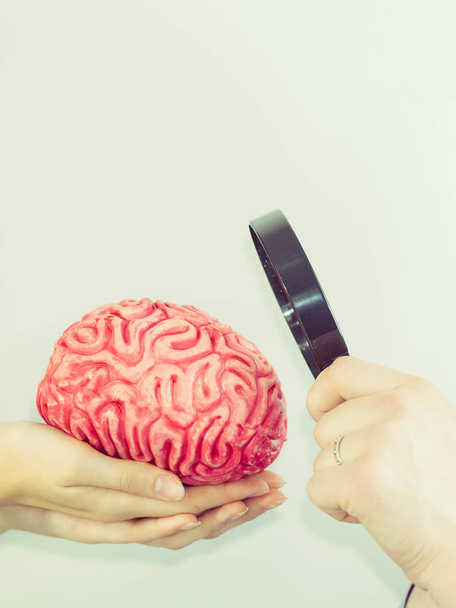 Hand holding human brain and magnifying glass - Foto, immagini