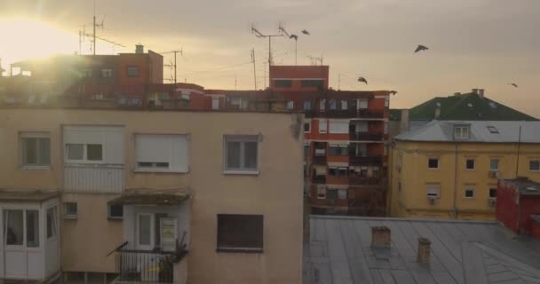 Drone soulève lentement à côté de vieux bâtiments reviling centre-ville de Novi Triste face magnifique coucher de soleil tandis que le troupeau de pigeons vole autour
  - Séquence, vidéo