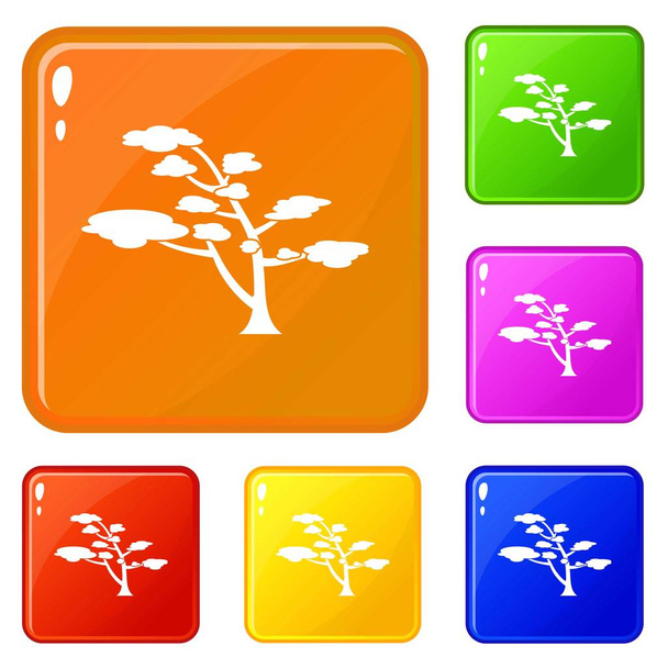 Cedar icons set vector color - ベクター画像