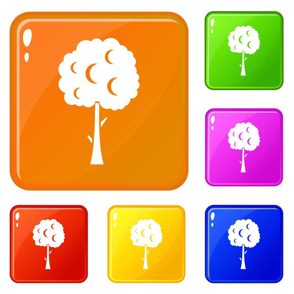 Tree with spherical crown icons set vector color - Vetor, Imagem