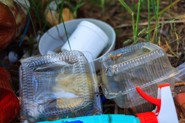 プラスチック容器は森の中で廃棄物を処理します。プラスチック汚染の概念。人間と自然の概念。自然界の違法ゴミ捨て場. - 写真・画像