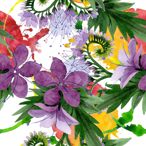 Fiolet phaselia Foral kwiatów botanicznych. Akwarela zestaw ilustracji tła. Płynny wzór tła. - Zdjęcie, obraz