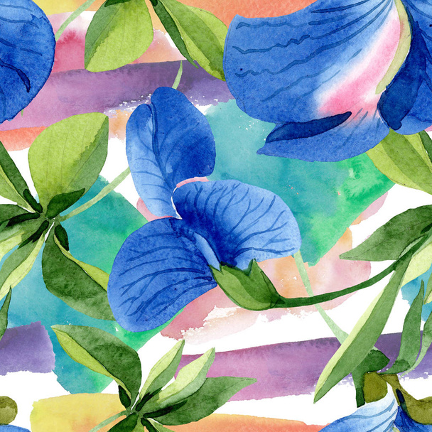 Blue sweet pea floral botanical flowers. Watercolor background illustration set. Seamless background pattern. - 写真・画像