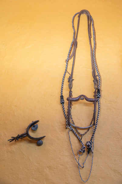 spurs and horse muzzle on the wall - Fotoğraf, Görsel