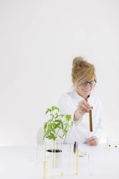 Ученый, работающий с фармацевтическим маслом cbd в лаборатории со стеклянным оборудованием
 - Фото, изображение