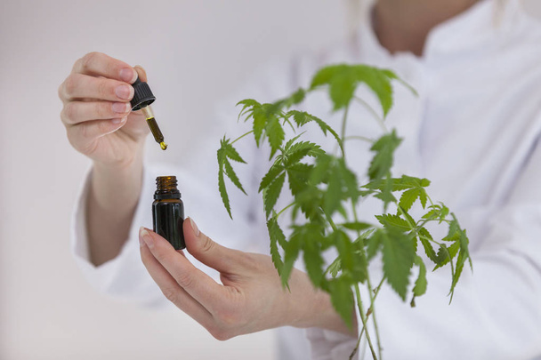 Scientist holding a bowl with cbd oil - Photo, Image