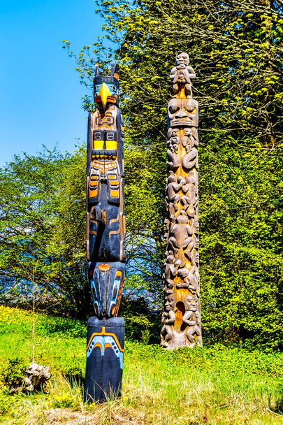 O "Oscar Maltipi Totem Pole" e o "Beaver Crest Totem Pole" em Stanley Park. O segundo é diferente, pois não é pintado e seu corpo principal é circular.
 - Foto, Imagem