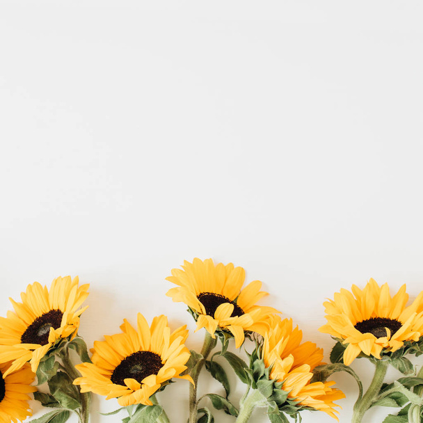 Sunflowers on white background. Flat lay, top view. - Photo, Image