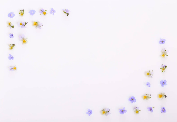 Modello floreale su sfondo bianco, piccoli fiori bianchi gialli
 - Foto, immagini