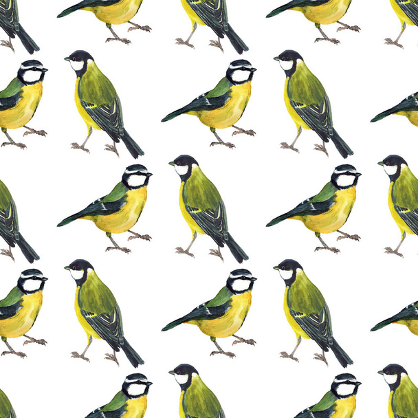 Seamless pattern with tomtits - Foto, imagen