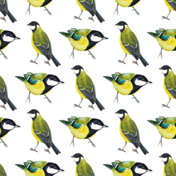Seamless pattern with tomtits - Foto, Imagem