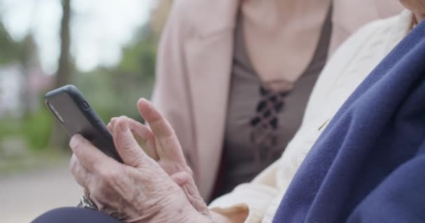 γυναίκα και ανώτερη γιαγιά χρησιμοποιώντας smartphone συσκευή στο πάρκο. Η εγγονή και η γιαγιά μιλούν μαζί με το κινητό. Ενεργή, στοργική, στοργική σχέση. βίντεο αργής κίνησης - Πλάνα, βίντεο