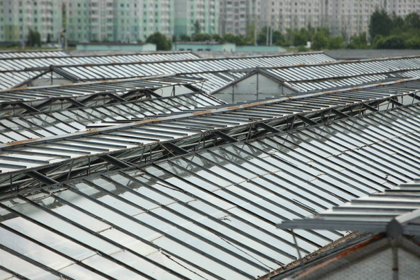 теплицы крыши выращивания овощей органической растительной промышленности
 - Фото, изображение