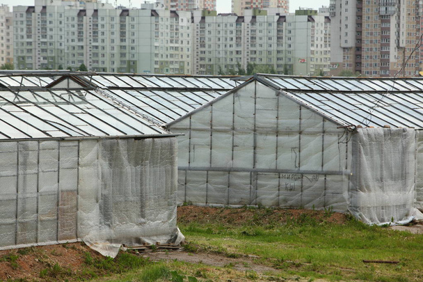üvegházak tető termesztés zöldség bio növényipar - Fotó, kép