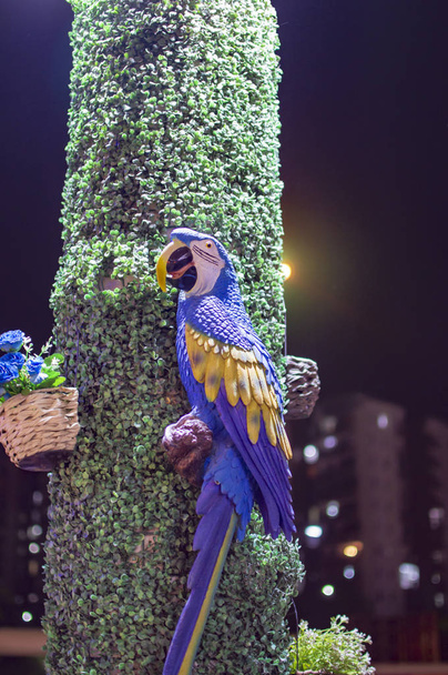 Satılık mavi renk papağan - Fotoğraf, Görsel