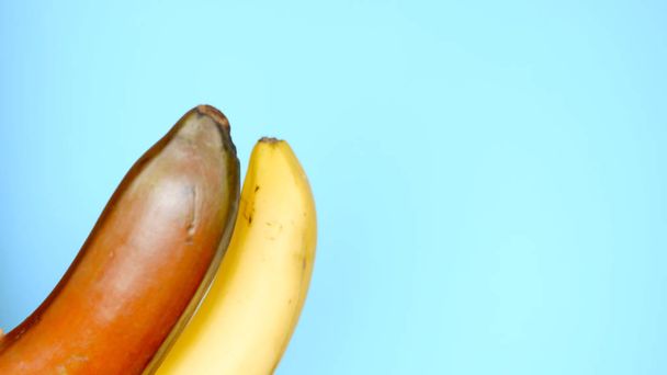 red banana and yellow banana on blue background, Fun fast food project - Foto, immagini