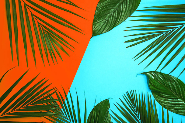 Тропічні зелені пальми листя на барвистому фоні. Яскраво-помаранчевий кораловий і синій кольори
. - Фото, зображення