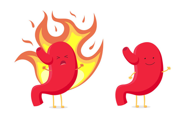 Sad sick unhealthy burns from heartburn and funny healthy strong happy smiling cute stomach character. Vector organ digestive system set. Funny illustration - Вектор,изображение