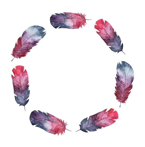 Watercolor feather wreath - Photo, Image