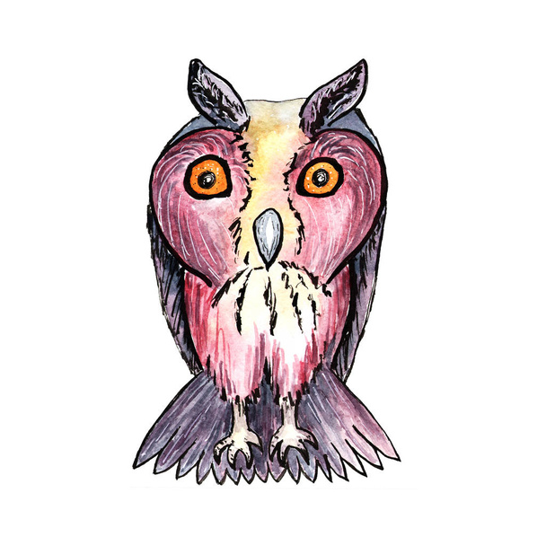 Watercolor owl character - Photo, Image