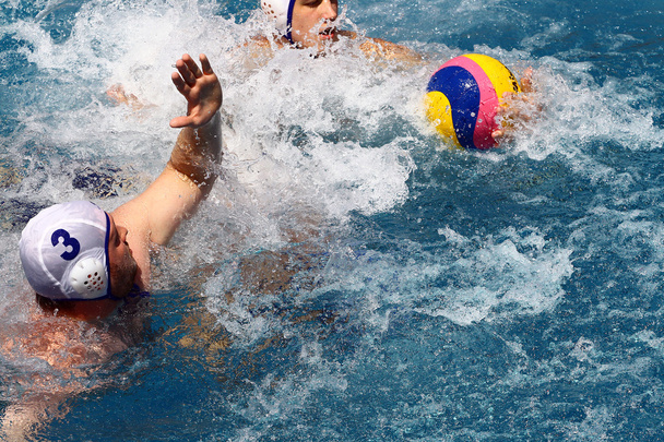 Mens Water Polo - Photo, image