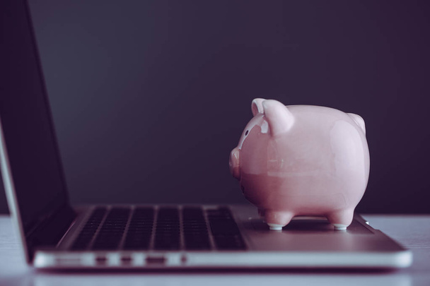 Piggy Bank With Laptop - Foto, afbeelding