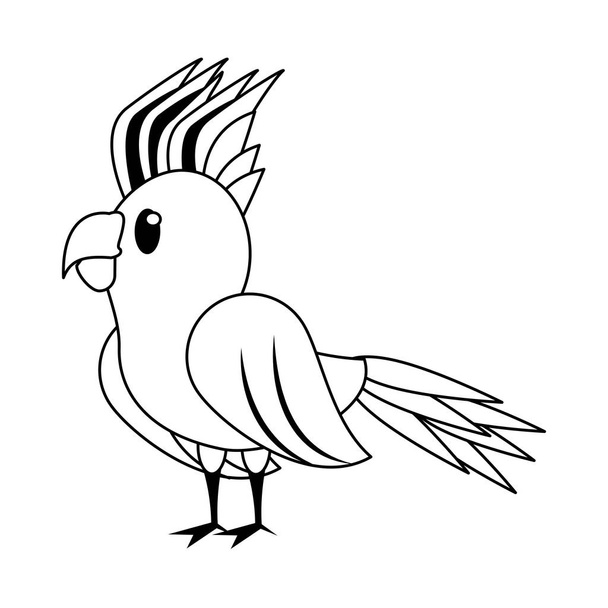 Eksoottinen trooppinen lintu sarjakuva eristetty mustavalkoinen
 - Vektori, kuva