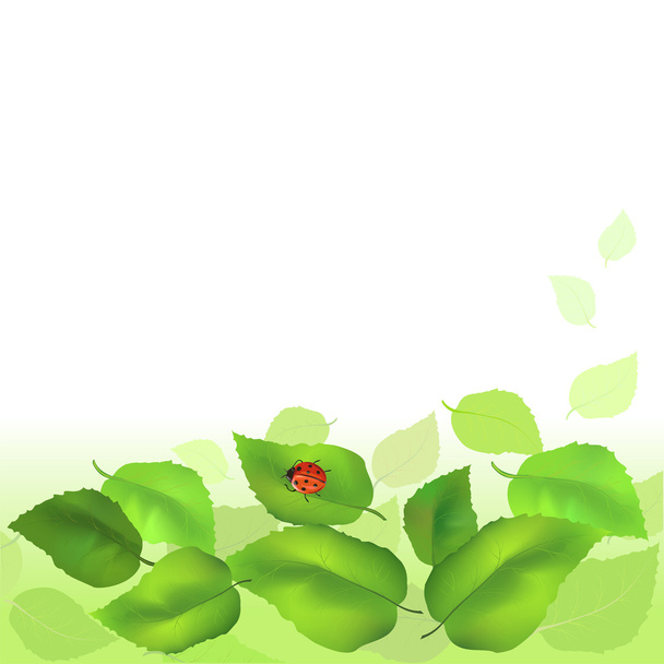 Kesätausta vihreillä lehdillä - Vektori, kuva