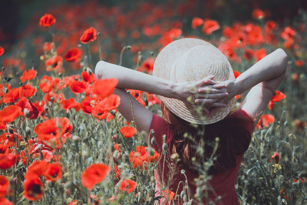 the poppies field  - Photo, Image