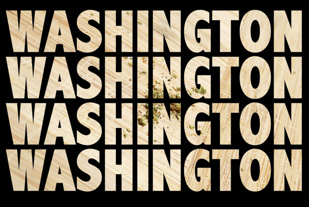 Washington inscriptions with Marijuana inside on black background - Photo, Image