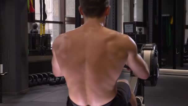 Closeup back shoot of adult muscular athletic shirtless man using rowing machine to train indoors in the gym - Imágenes, Vídeo