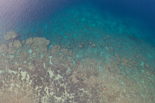 Aerial view of a coral reef growing off the coast of Flores in Indonesia. This region is known for its tropical marine biodiversity. - Foto, Imagen