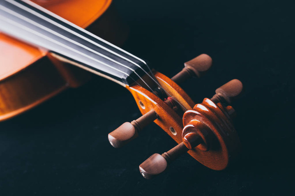 Violin Orchestra Musical Instruments - Foto, imagen