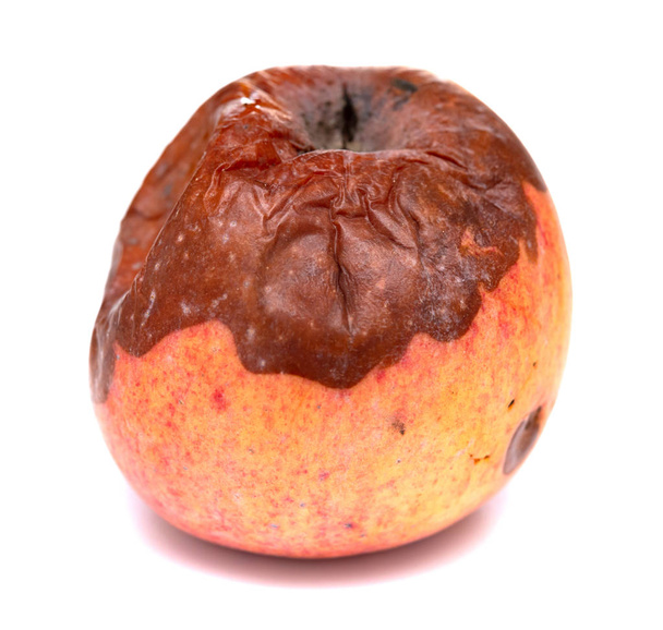 badly rotten apple on a white background - Photo, Image