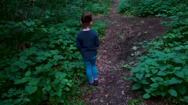 Egy kislány sétál az ösvényen, egyedül a sötét, kísérteties erdőben. - Felvétel, videó