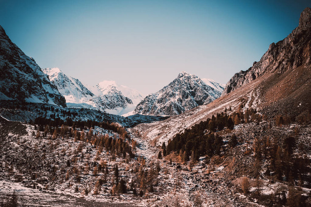 Valle de la montaña en el día de invierno bajo cielo azul. Árboles nevados, bosque en laderas de rocas
 - Foto, imagen