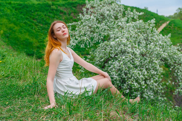 The red-haired girl in a white dress sitting on green grass on a background of a blossoming Apple tree. Girl spring on nature. - Foto, imagen