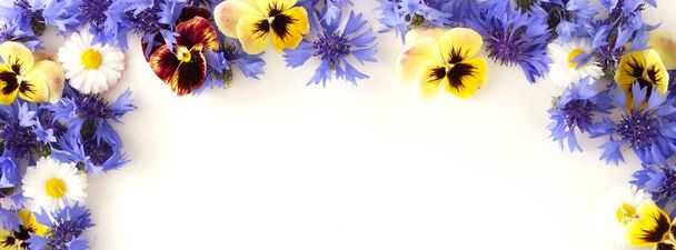 top view of beautiful flowers on white background - Фото, зображення