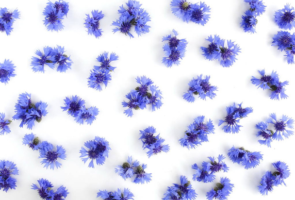 top view of beautiful flowers on white background - Valokuva, kuva