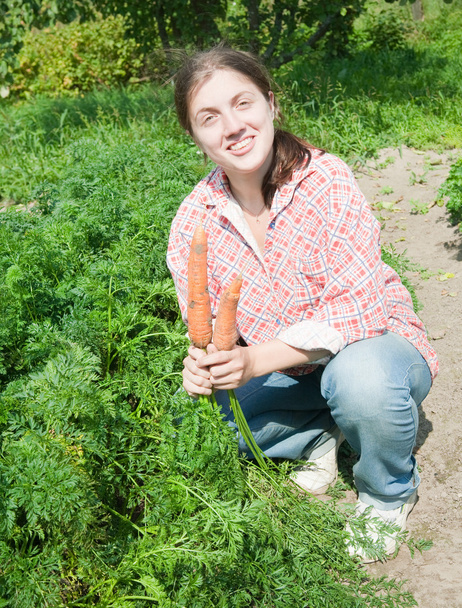 Girl picking carrot in field - Foto, afbeelding