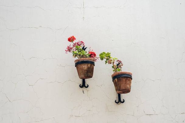 Два горщики для квітів
 - Фото, зображення