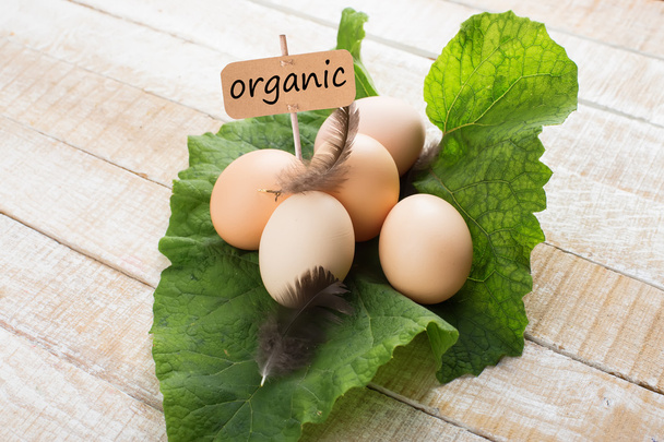 Fresh organic eggs on leaf. Tag with word organic. - Foto, imagen