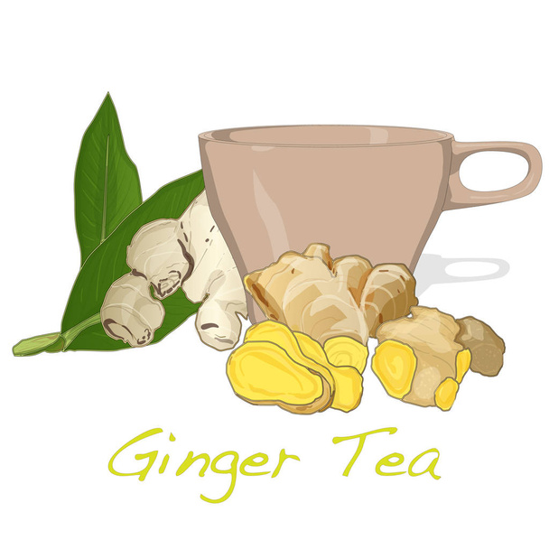 Ginger tea vector illustration isolated set white background.  - Vector, Image