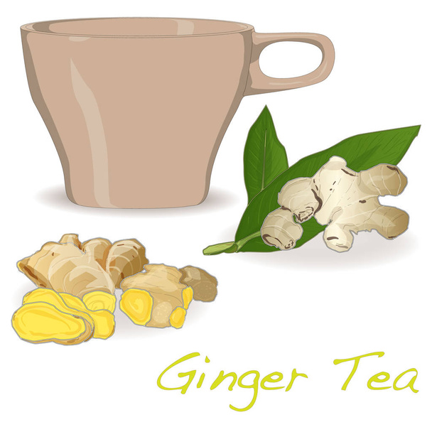 Gember thee vector illustratie geïsoleerde set witte achtergrond.  - Vector, afbeelding