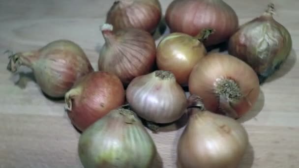 group of onion spinning on the wooden table, close up - Footage, Video
