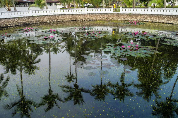 Staw Lotus w Pałacu Królewskim w Luang Prabang, Laos, Azja - Zdjęcie, obraz
