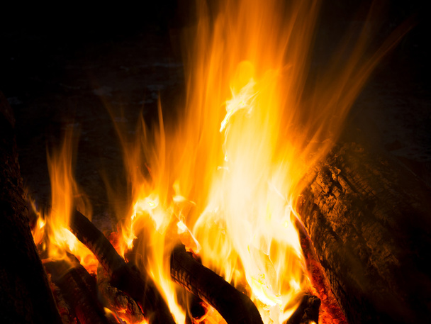 Flames of a campfire in the night - Fotó, kép