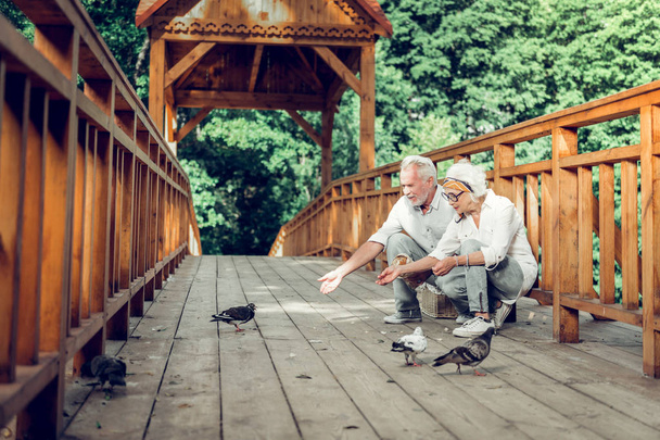 Happy elderly white-haired couple feeding the pigeons on the bridge - Foto, Imagem