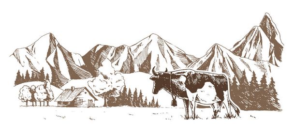 Молочна ферма. Корови пасуться на лузі. Сільський пейзаж, сільський старовинний ескіз
. - Вектор, зображення